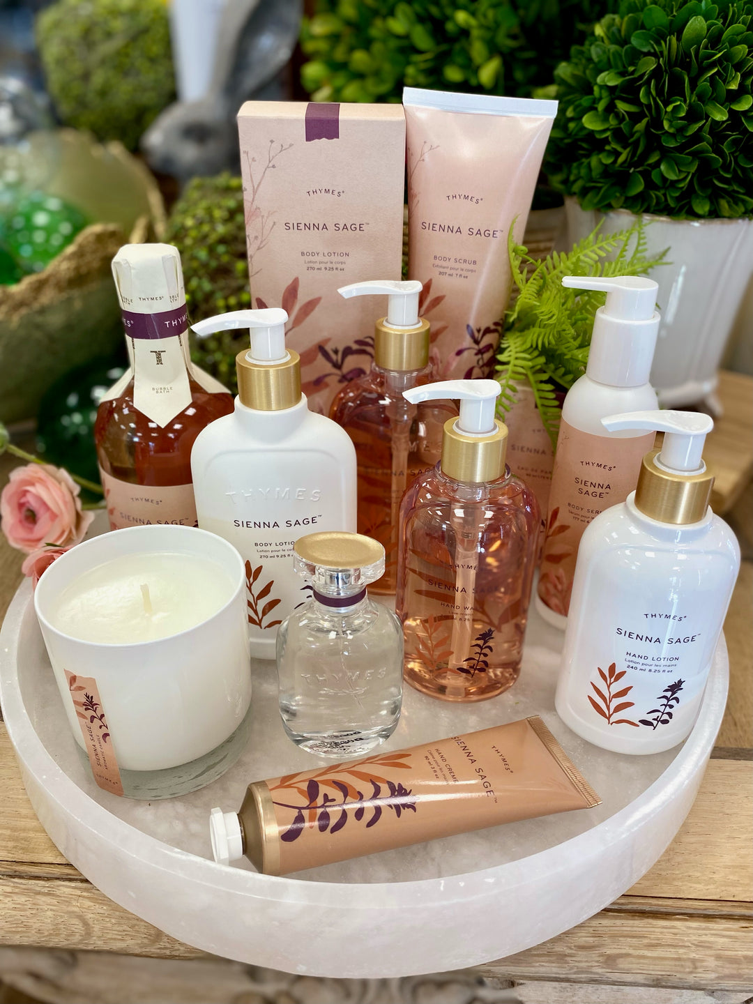 Sienna Sage Fragrance